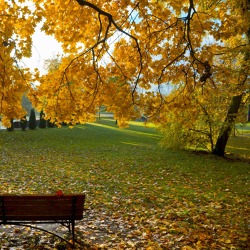 Gartentipps für den Oktober